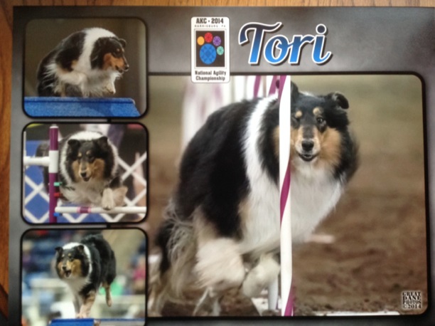 tori1